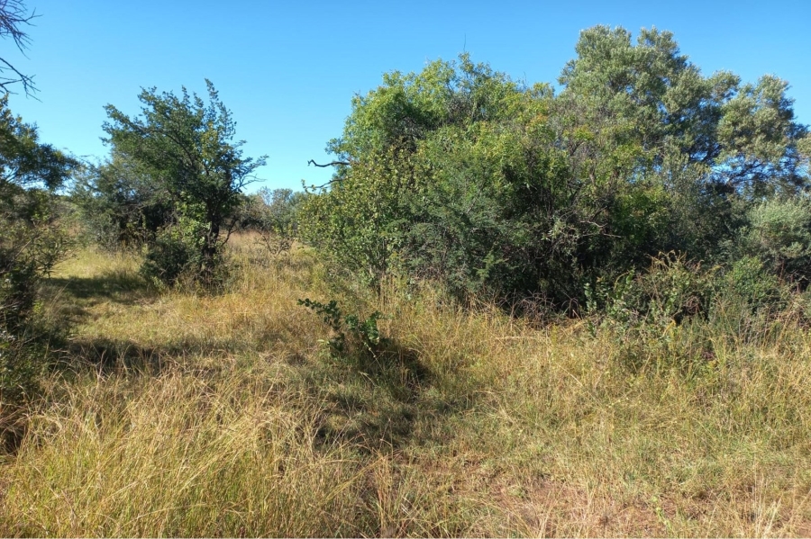0 Bedroom Property for Sale in Koster North West